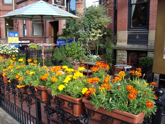 Back Bay Jewel of Newbury St. Restaurant